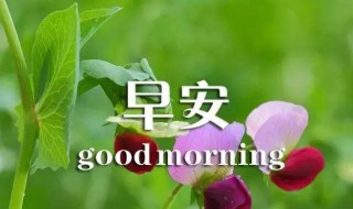 适合发朋友圈的早上好句子 适合发朋友圈的早上好经典句子