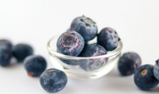 蓝莓种植（蓝莓种植时间和方法）