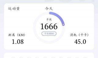 vivo跑步记录在哪里（vivo手机自带的跑步怎么看历史记录）