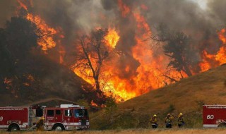 森林草原大火的影响 森林草原火灾的原因分析