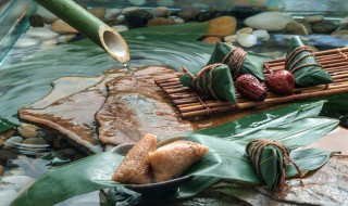 粽子和牛奶能一起吃吗（粽子和牛奶能一起吃吗早餐）