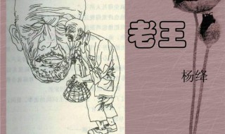 老王的全文概括（老王的全文概括内容）