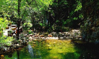 秦岭江山风景区怎么样（秦岭江山风景区门票多少钱）