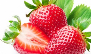 三月末的草莓是反季节的吗 3月草莓是反季节吗