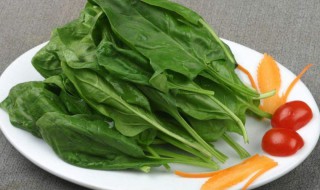 吃菠菜口苦是怎么回事（吃菠菜口苦是怎么回事啊）