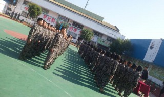 学校全日制和非全日制有什么区别（学校全日制与非全日制的区别）