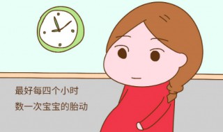 怀孕了公司装修怎么办（怀孕了公司装修,有问题公司承担吗）