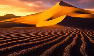 如何在沙漠中辨别方向 沙漠中如何辨识方向