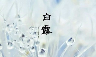 白露节气吃什么好 白露时节吃什么好