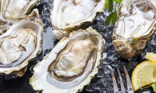 牡蛎的吃法 海蛎子的最佳吃法