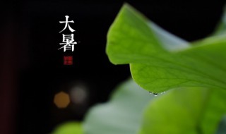 大暑时节养生原则（大暑节气养生原则）
