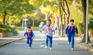 幼儿学成语接龙有何好处（幼儿园学成语接龙有用吗）