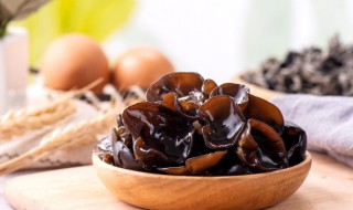 木耳功效 木耳作用与功效