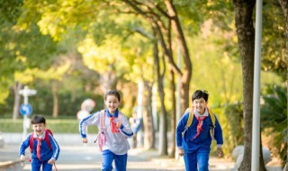 学生异地办理身份证需要什么材料 在线办理身份证