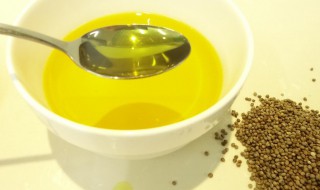 苏子油绿豆粉的功效与作用 苏子油的功效与作用及禁忌