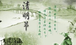 清明时节雨纷纷是在哪个季节（清明时节雨纷纷是哪个季节的）