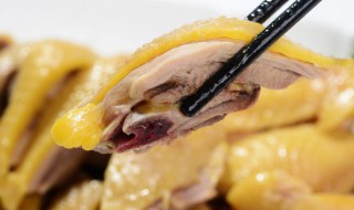 正宗咖喱鸡肉的做法（正宗咖喱鸡肉的做法三叔）