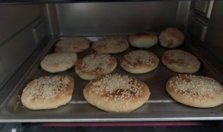 烤箱烤烧饼的正宗做法（烤箱烤烧饼的正宗做法视频）