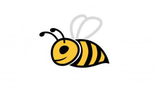 关于蜜蜂的小知识有哪些（关于蜜蜂的小知识是什么）