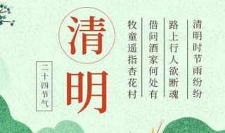 清明节寄语简短的 清明节寄语怀念爷爷奶奶