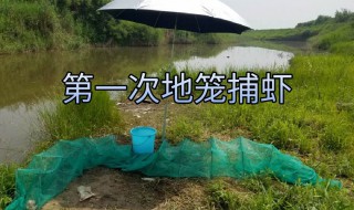 地笼捕虾技巧 地笼捕虾技巧视频