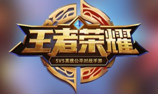 王者荣耀哪个英雄最重要（王者荣耀里哪个英雄比较好）