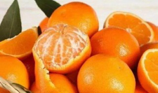 橘子的好处 小朋友吃橘子的好处