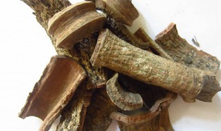 广东紫荆皮的功效与作用 紫荆皮是什么中药