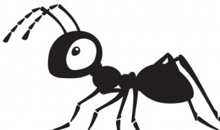 白蚁是蚂蚁吗 白蚂蚁有毒吗