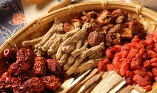 一点红的功效与作用 一点红的功效与作用禁忌