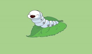 蚕宝宝怎么养不会死（蚕宝宝怎样养）