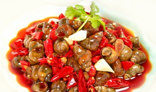 螺丝怎么炒好吃 螺丝怎么炒好吃视频