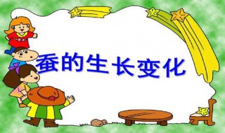 蚕宝宝的生长过程 蚕宝宝的生长过程视频