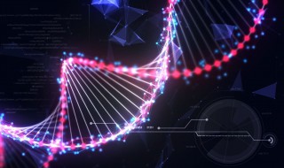 dna复制特点（真核细胞dna复制特点）