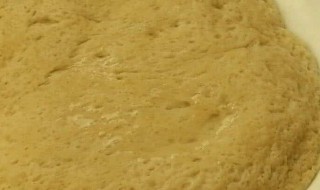 面筋蒸多久才能熟 面筋蒸多久熟透