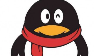 qq怎么做到不显示个人资料（qq怎样不显示自己的资料）