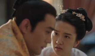 宋仁宗的苗贵妃简介 宋仁宗苗娘子历史原型