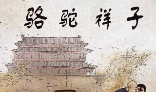 骆驼祥子好词好句好段摘抄大全（骆驼祥子好词好句好段摘抄大全优美）