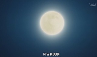 今晚的月色真美下一句 今晚的月色真美下一句是什么