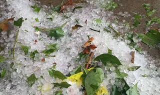 夏天下冰雹的原因 夏天下冰雹的原因有哪些