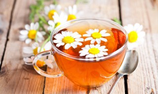 菊花茶会过期吗（怎么判断干菊花坏了）