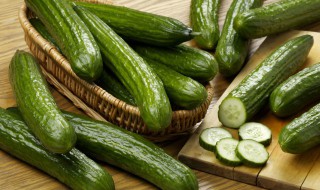 黄瓜种植技术（黄瓜种植技术要点）