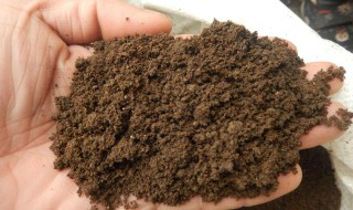 种菜用什么做基肥 种菜用什么做基肥比较好