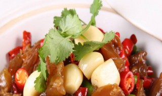 牛脚筋怎么做才好吃（牛蹄筋的家常做法大全）