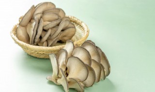 蘑菇怎么炸好吃 大叶蘑菇怎么炸好吃