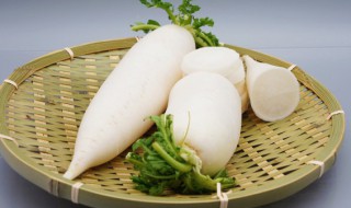 萝卜怎么烧好吃（牛肉烧萝卜怎么烧好吃）