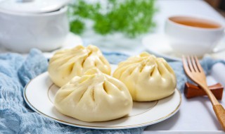做包子技术窍门 做包子技术窍门视频