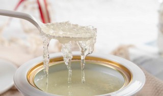 隔水燕窝的做法大全（隔水燕窝的做法大全视频）