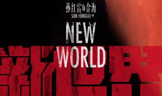 新世界评价（妻子的新世界评价）