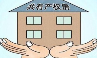 房屋共有人需要什么条件（房屋共有人的条件）